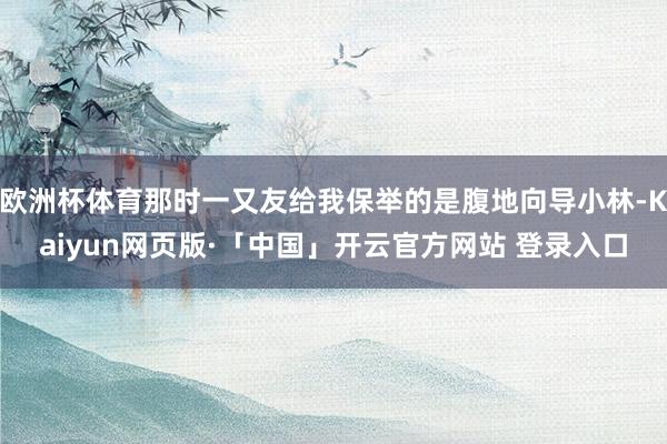 欧洲杯体育那时一又友给我保举的是腹地向导小林-Kaiyun网页版·「中国」开云官方网站 登录入口